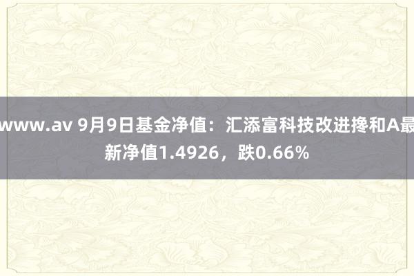 www.av 9月9日基金净值：汇添富科技改进搀和A最新净值1.4926，跌0.66%