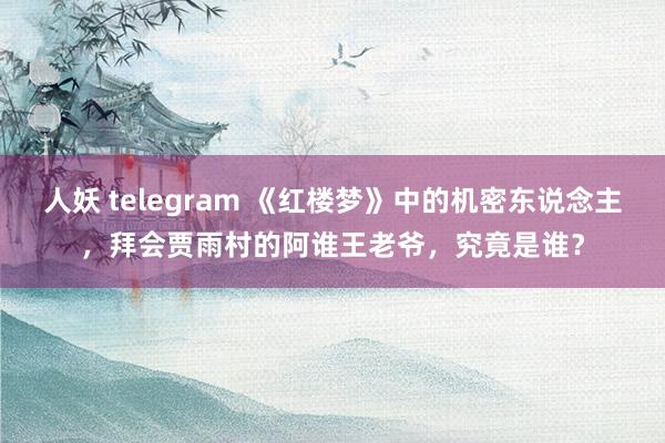 人妖 telegram 《红楼梦》中的机密东说念主，拜会贾雨村的阿谁王老爷，究竟是谁？