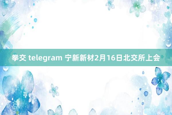 拳交 telegram 宁新新材2月16日北交所上会