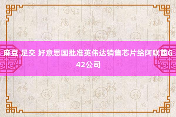 麻豆 足交 好意思国批准英伟达销售芯片给阿联酋G42公司