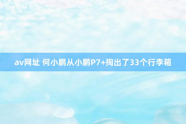 av网址 何小鹏从小鹏P7+掏出了33个行李箱