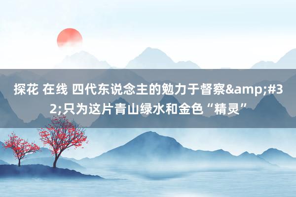 探花 在线 四代东说念主的勉力于督察&#32;只为这片青山绿水和金色“精灵”