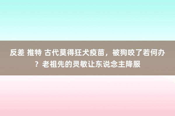 反差 推特 古代莫得狂犬疫苗，被狗咬了若何办？老祖先的灵敏让东说念主降服