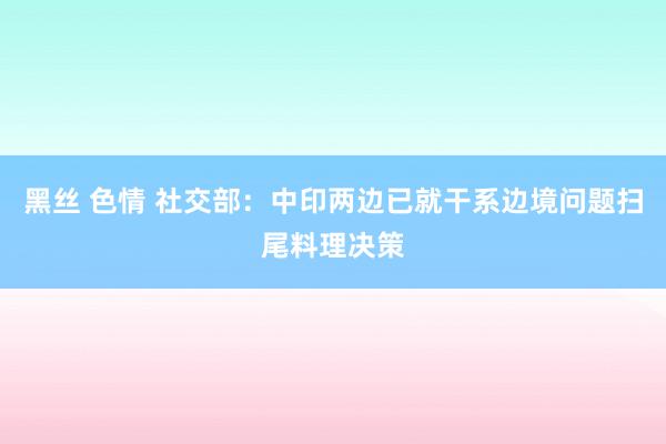 黑丝 色情 社交部：中印两边已就干系边境问题扫尾料理决策