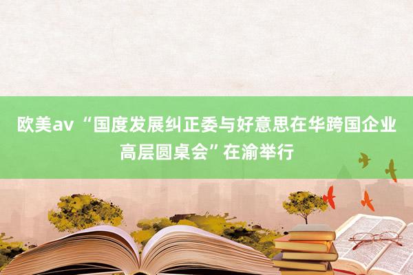 欧美av “国度发展纠正委与好意思在华跨国企业高层圆桌会”在渝举行