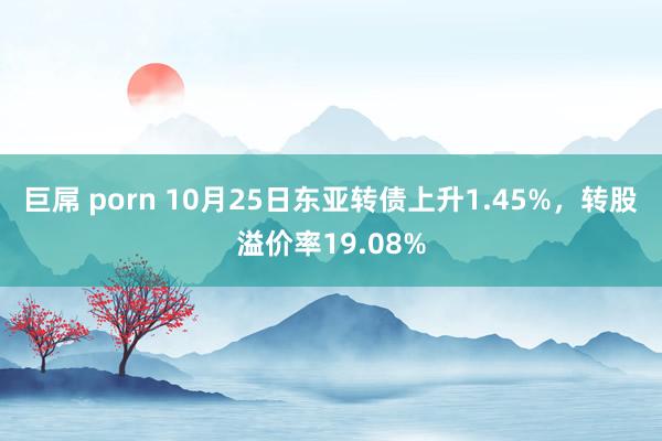 巨屌 porn 10月25日东亚转债上升1.45%，转股溢价率19.08%