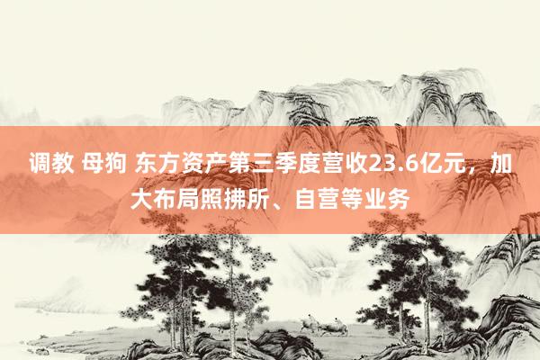 调教 母狗 东方资产第三季度营收23.6亿元，加大布局照拂所、自营等业务