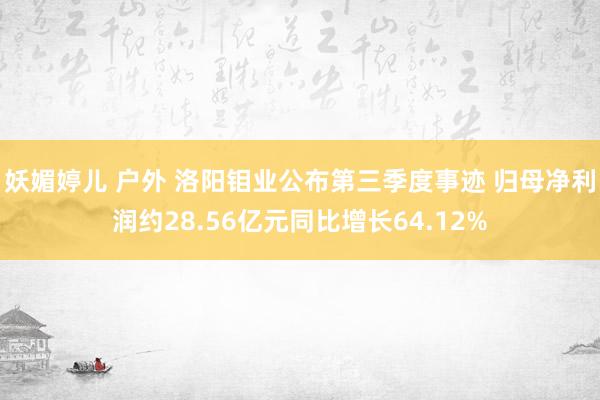 妖媚婷儿 户外 洛阳钼业公布第三季度事迹 归母净利润约28.56亿元同比增长64.12%