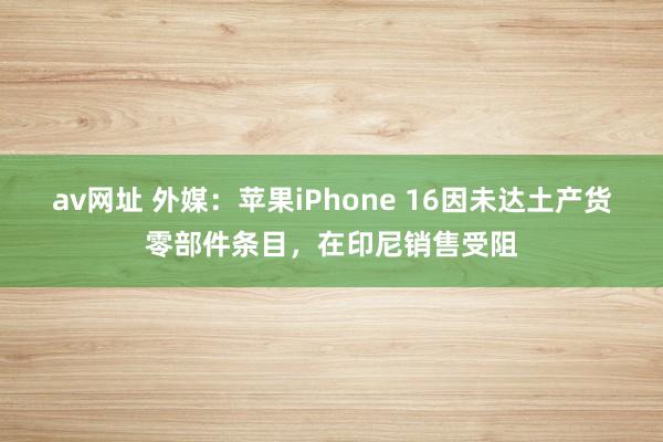 av网址 外媒：苹果iPhone 16因未达土产货零部件条目，在印尼销售受阻