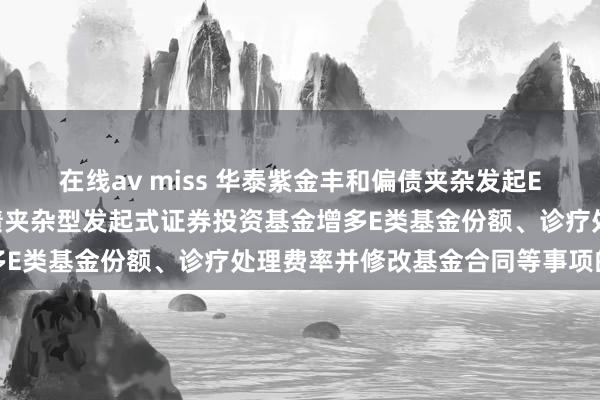 在线av miss 华泰紫金丰和偏债夹杂发起E: 对于华泰紫金丰和偏债夹杂型发起式证券投资基金增多E类基金份额、诊疗处理费率并修改基金合同等事项的公告