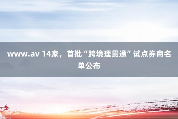 www.av 14家，首批“跨境理贯通”试点券商名单公布