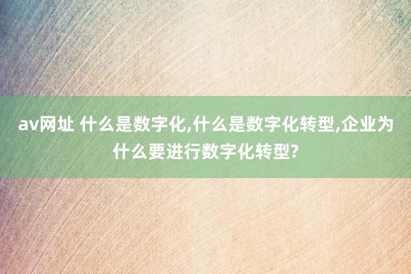 av网址 什么是数字化，什么是数字化转型，企业为什么要进行数字化转型?