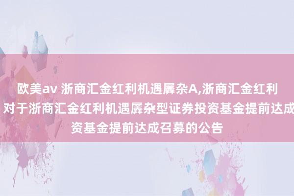 欧美av 浙商汇金红利机遇羼杂A，浙商汇金红利机遇羼杂C: 对于浙商汇金红利机遇羼杂型证券投资基金提前达成召募的公告