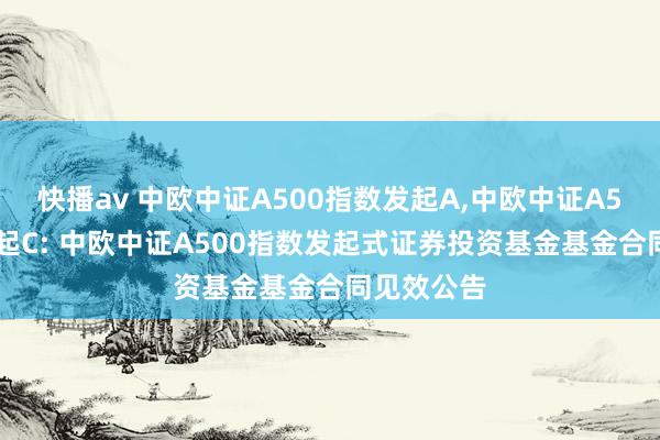 快播av 中欧中证A500指数发起A，中欧中证A500指数发起C: 中欧中证A500指数发起式证券投资基金基金合同见效公告