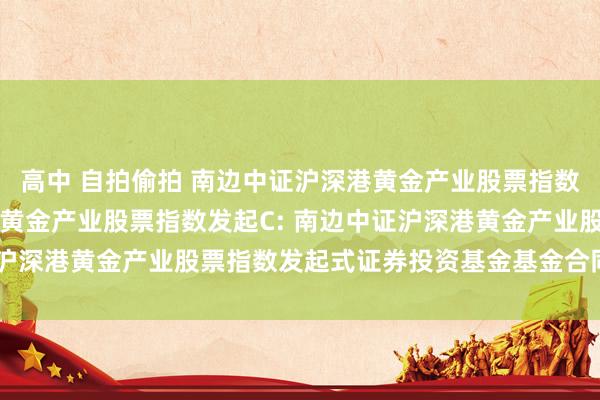 高中 自拍偷拍 南边中证沪深港黄金产业股票指数发起A，南边中证沪深港黄金产业股票指数发起C: 南边中证沪深港黄金产业股票指数发起式证券投资基金基金合同告成公告