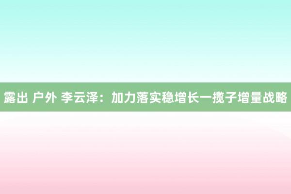 露出 户外 李云泽：加力落实稳增长一揽子增量战略