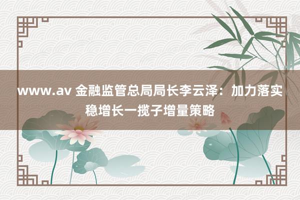 www.av 金融监管总局局长李云泽：加力落实稳增长一揽子增量策略